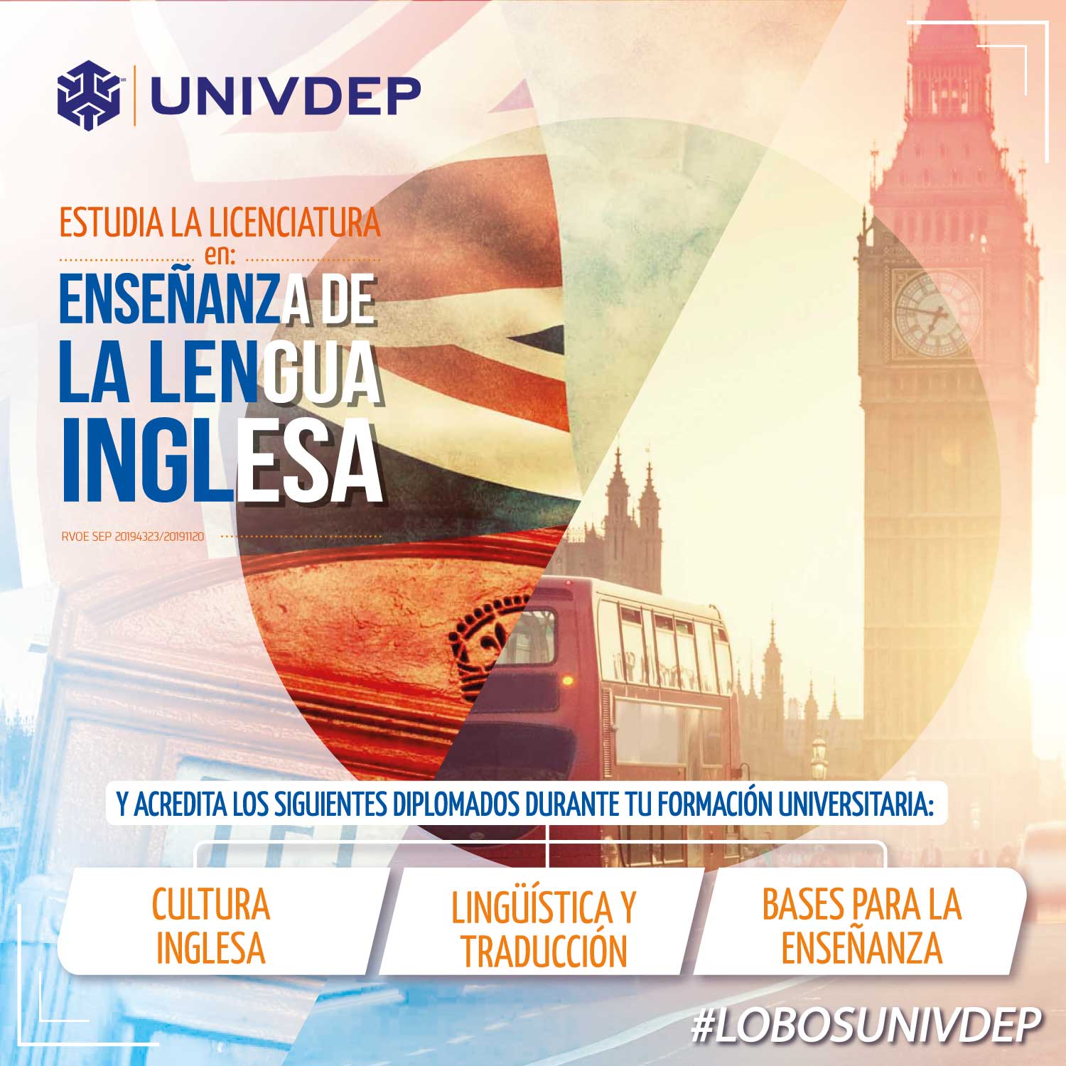 Univdep Diplomado Ensenanza Lengua_Inglesa